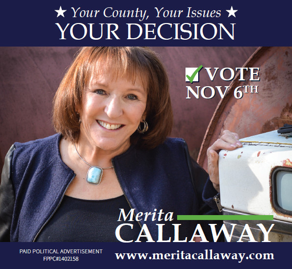Why I’m Voting for Merita Callaway