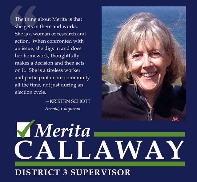 Merita Callaway for Supervisor