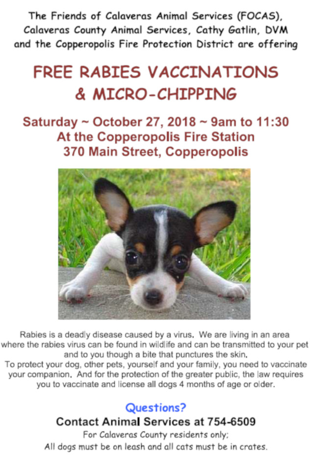 Free Rabies Vaccinations & Micro Chipping on October 27th