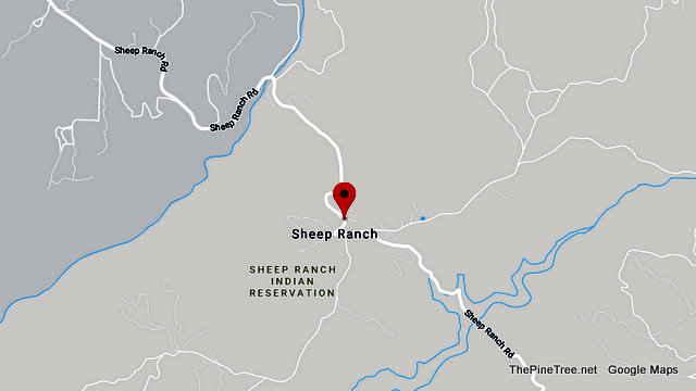 Traffic Update….Collision in Sheep Ranch near Sheep Ranch Rd / School St