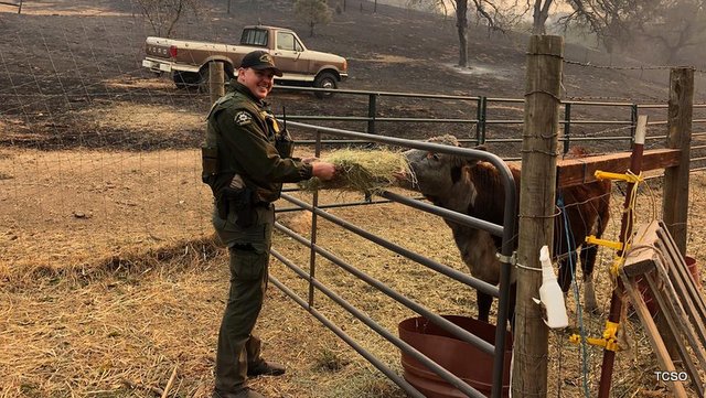 Tuolumne County Sheriff Staff Helping in Camp Fire