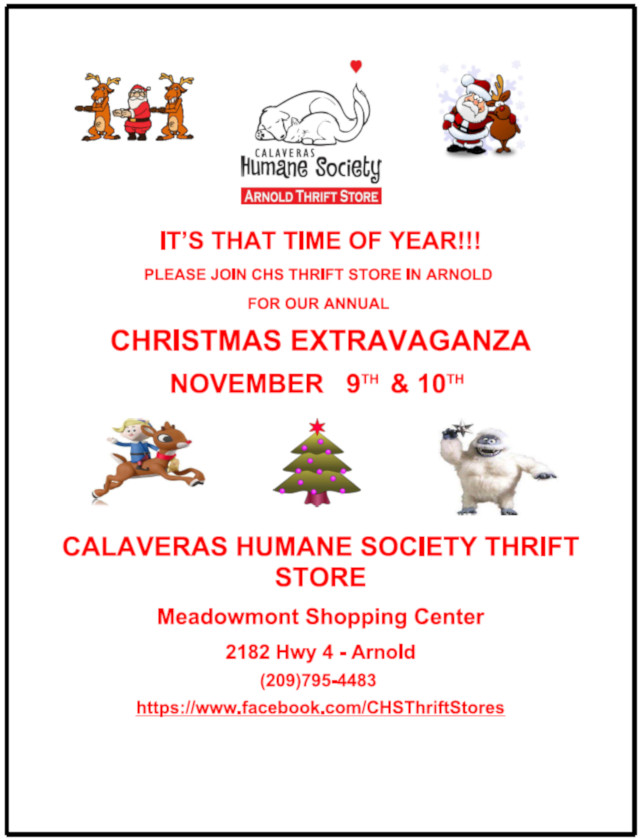 CHS Christmas Extravaganza November 9th & 10th!