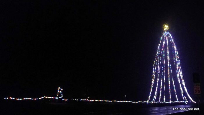 The Avery Christmas Tree Welcomes Visitors & Locals to The Ebbetts Pass Corridor