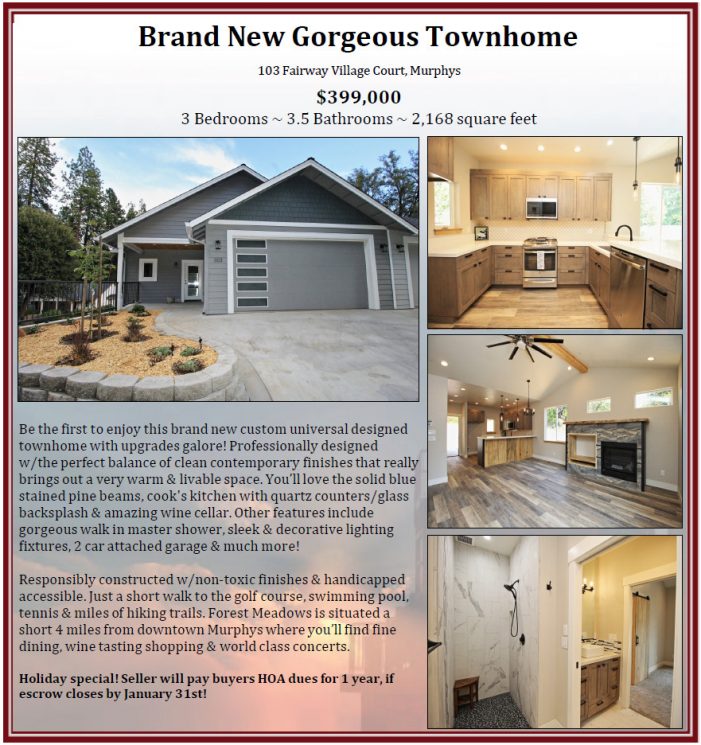 Open House for Stunning Contemporary Forest Meadows Townhomes, Saturday, Dec. 6th from 1 to 5 PM