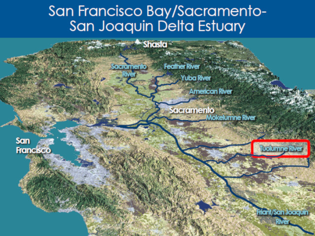 State Water Board Adopts 40% Unimpaired Flow Plan for Lower San Joaquin River and Southern Delta, Severe Impacts Feared for New Melones, Don Pedro & Reservoir Water Storage