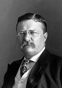 Theodore Roosevelt on the Rewards of Effort