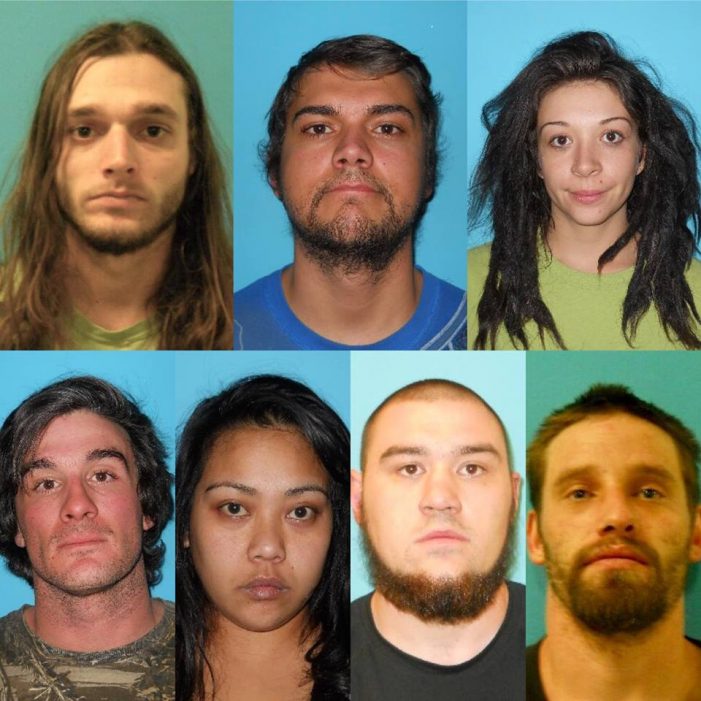 Operation “Snow Fall” Nets 7 Arrests in Cocaine & Ecstasy Sting