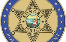 Copperopolis Woman Arrested for Felony Hit and Run