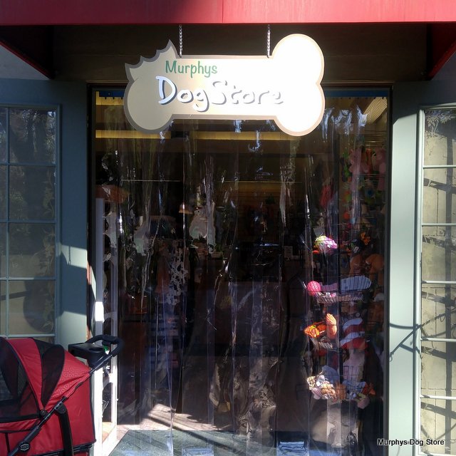 The Murphys Dog Store Believes “Dogs Are Miracles With Paws”