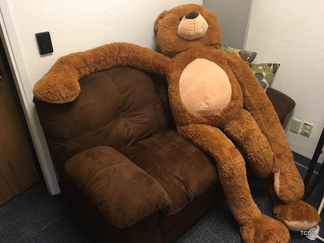 Meet a “bear-y” Special Member of Tuolumne County Sheriff’s Team.
