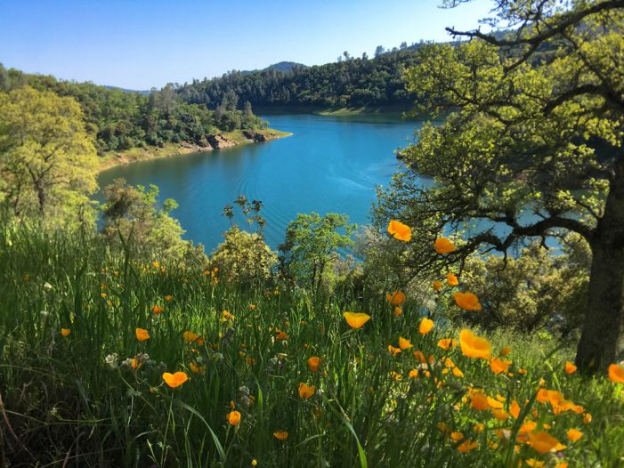 Spring Photography Contest at New Melones Lake!