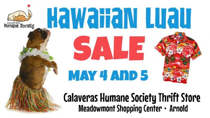 Hawaiian Luau Sale at Humane Society Thrift Store