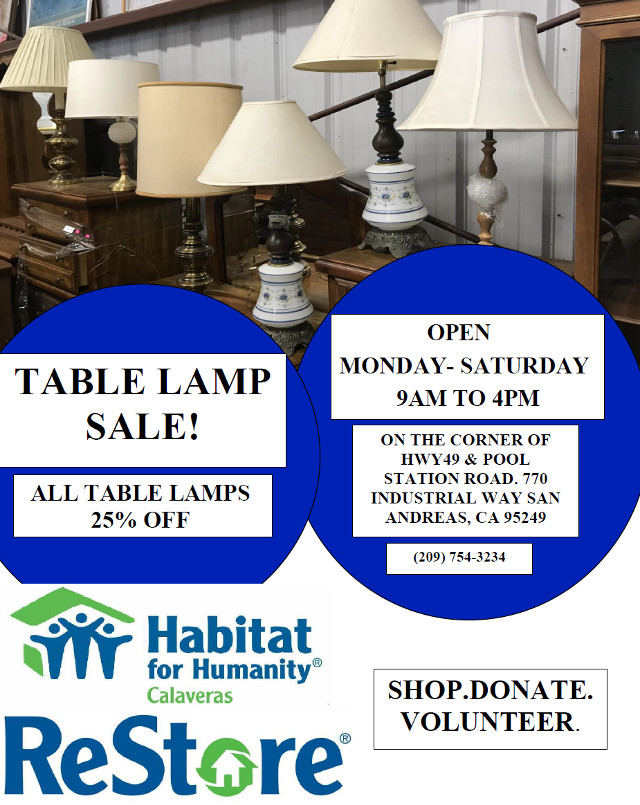 Light Up Your Life With A Lamp from Habitat for Humanity’s ReStore!