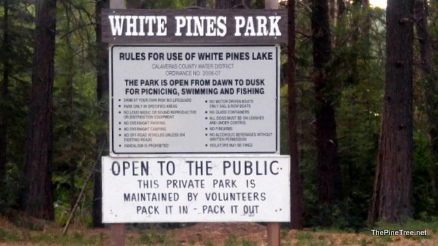 Volunteers Asking for Community’s Help in Thefts from White Pines Park