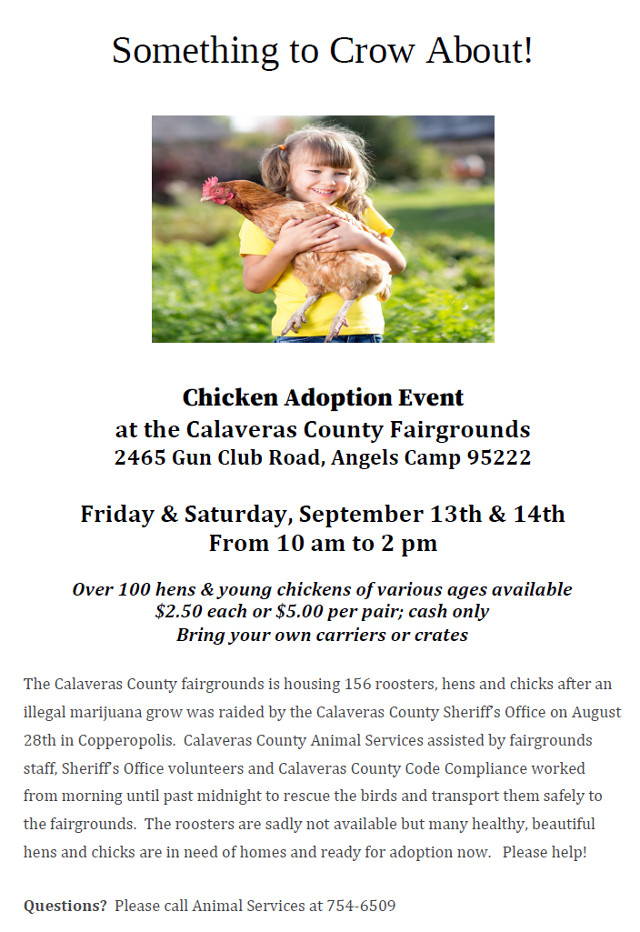 (All Chickens Adopted in Under an Hour!!)  Something to Crow About!  Chicken Adoption Event