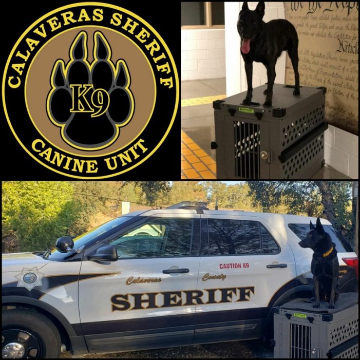 New Travel Homes For Sheriff’s Canines Nox & Buster!