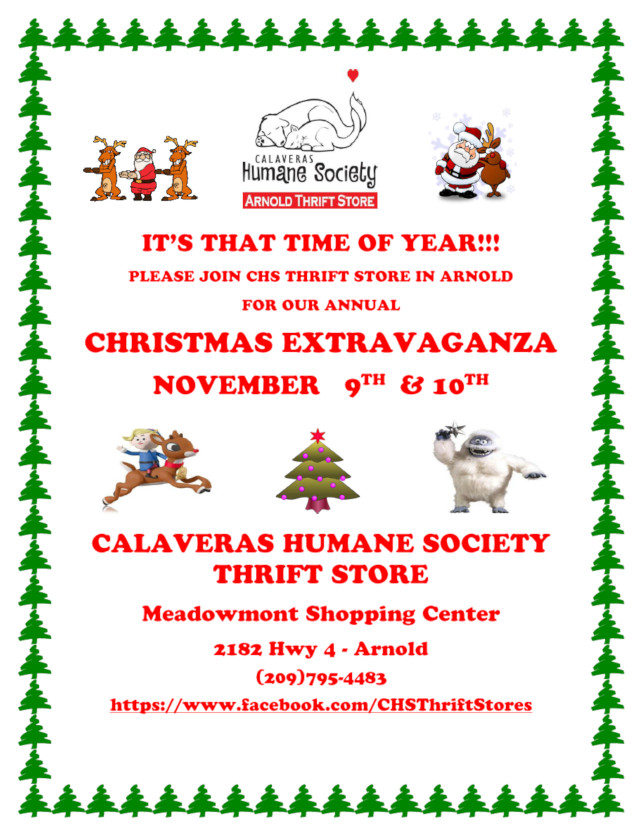 The CHS Thrift’s Christmas Extravaganza Sale is This Weekend!!