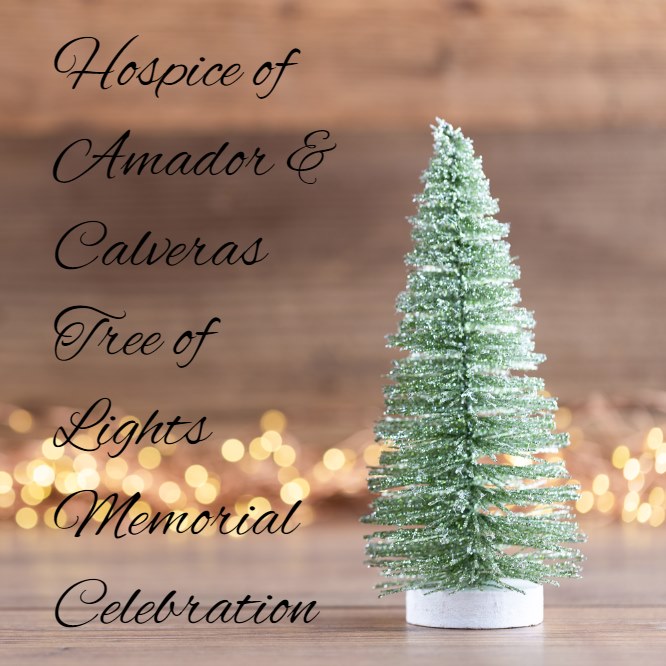 19th Annual Hospice of Amador & Calaveras Tree of Lights Memorial Celebration is December 5th
