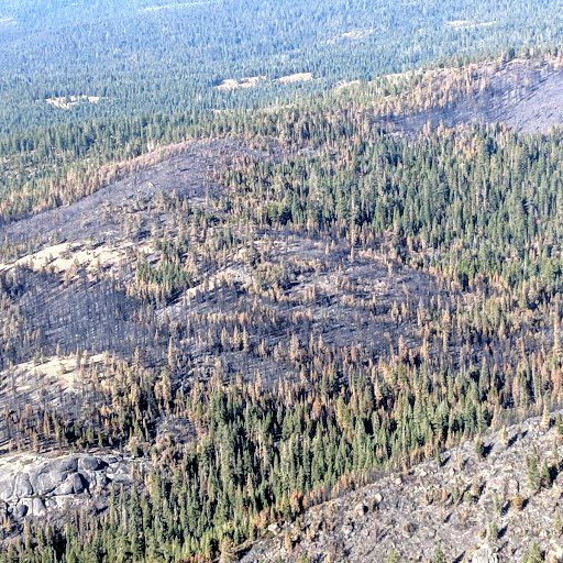 Caples Fire 100% Contained, Burned Area Assessment in Progress