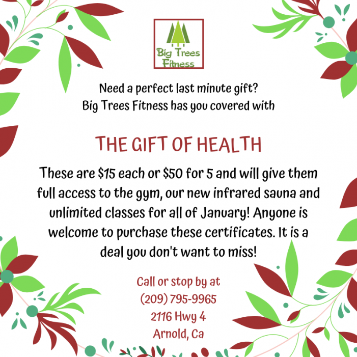 It’s Not Too Late to Give the Gift Of Health from Big Trees Fitness