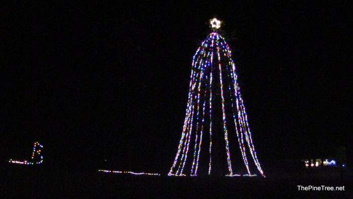 The 2019 Avery Christmas Tree Now Lighting the Way on Hwy 4