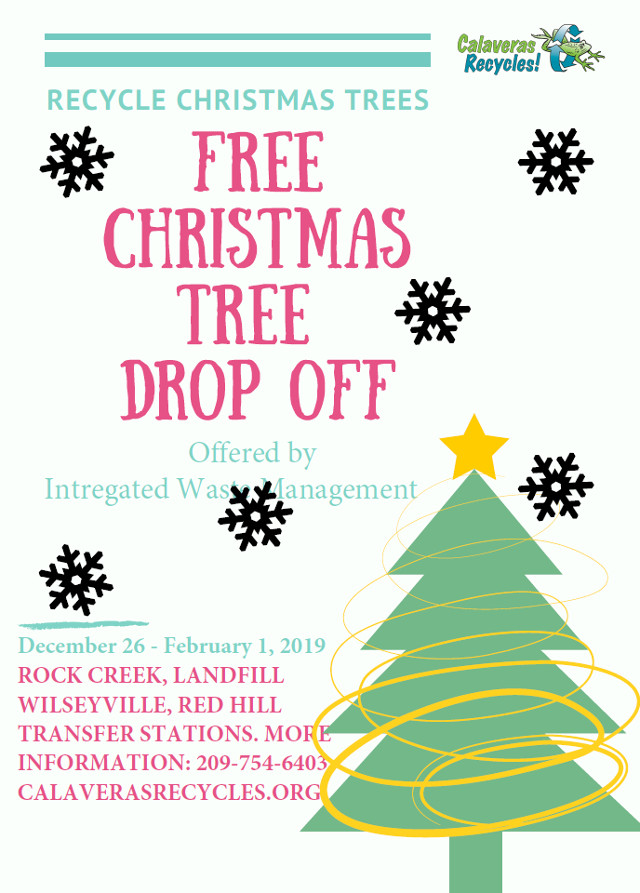 Free Christmas Tree Recycling Drop Off Points