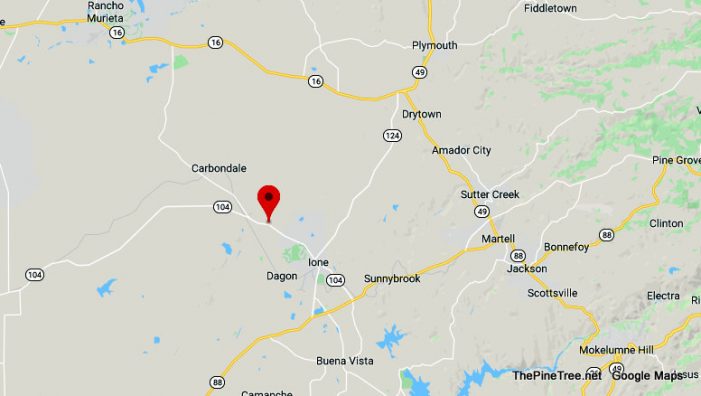 Traffic Update….Cows in Field Without Fences Near Irish Hill Rd / Sr104