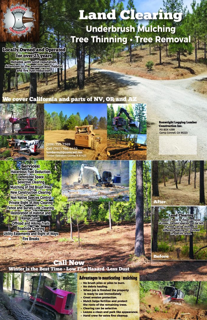 Land Clearing, Underbrush Mulching, Tree Thinning & Removal From Ronwright Logging & Construction