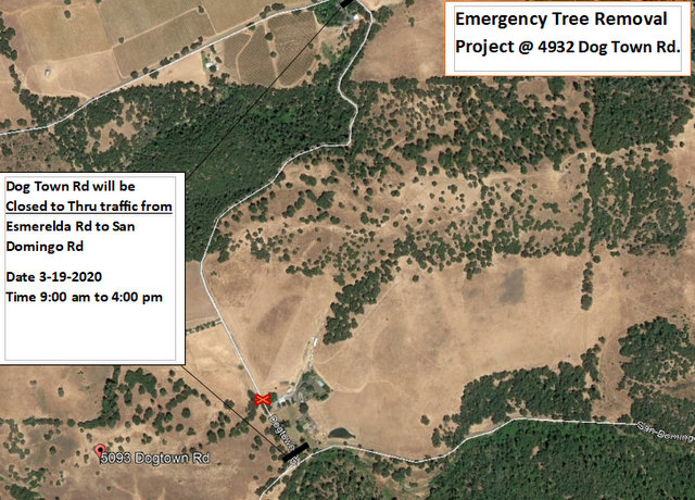 Emergency Dogtown Road Tree Removal on March 19th
