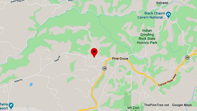 Traffic Update….Cow Violating Stay at Home Order & Heading Westbound Near Ridge Rd / Lupe Rd
