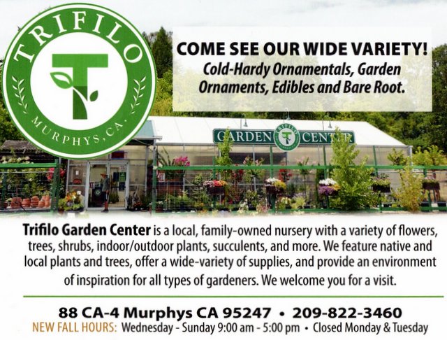 Trifilo Garden Center is Open for Your Essential Nursery Needs (Limited Staffing So Please Be Patient)