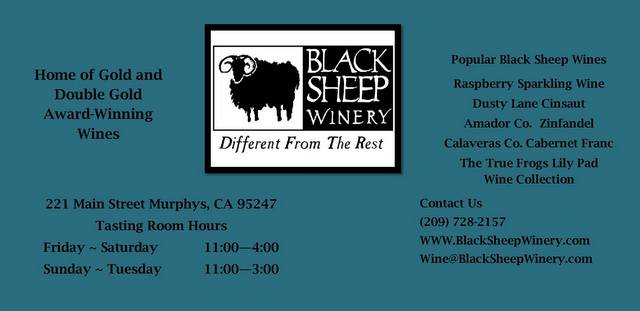 Black Sheep Wines Are Perfect for Any Occasion