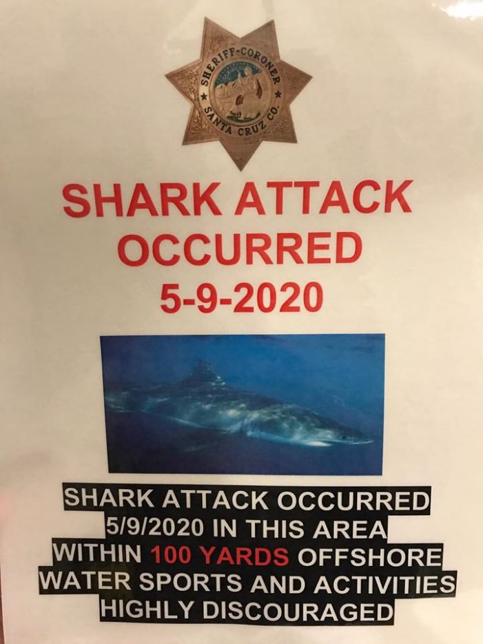 California State Parks Closes Manresa State Beach after Fatal Shark Attack