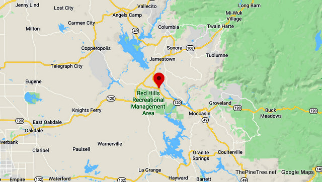 Traffic Update….Subjects Jumping from Bridge over Lake Don Pedro