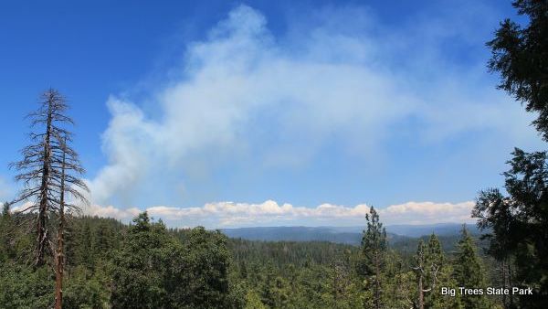 The Latest Big Trees State Park Prescribed Burn Underway & Proceeding Well