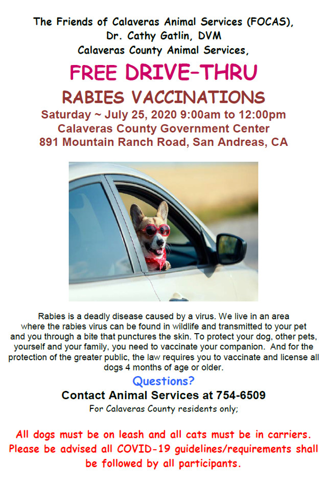 Free Drive-Thru Rabies Vaccinations on July 25th