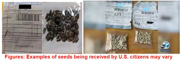 Calaveras Ag Dept Says…Do Not Open, Plant or Dispose of Seed Packets from China. Drop them off in San Andreas