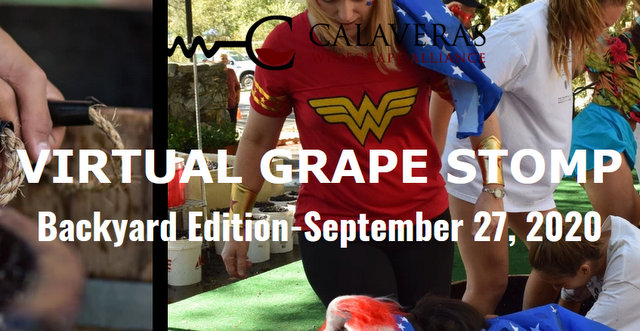 The 27th Annual Calaveras County Grape Stomp!  Backyard Edition-September 27, 2020, Register Today!