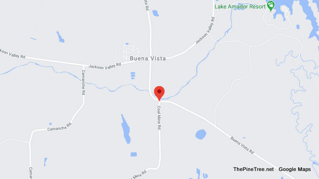 Traffic Update….Vehicle vs Cow Near Buena Vista Rd / Coal Mine Rd