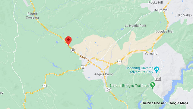 Traffic Update….Motorcycle vs Dog on Hwy 49 North of Angels Camp
