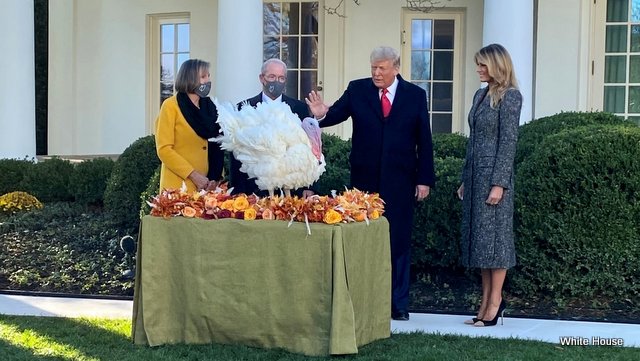President Trump at the National Thanksgiving Turkey Pardoning Ceremony