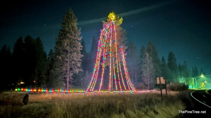 The Avery Community Christmas Tree Welcomes the Holidays