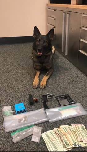 K9 Deputy Finds Large Amounts of Drugs and a Stolen Gun.
