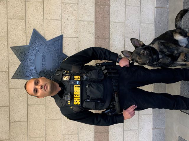 Sheriff’s Office Adds Canine, Storm, to Patrol Staff!
