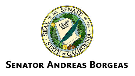 Senator Borgeas Responds to Governor’s Latest Shutdown Orders