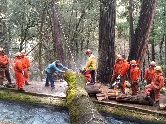 Downed Trees Threatened Water Supply