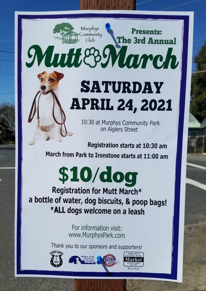 The Murphys Mutt March is Back for 2021 on April 24th