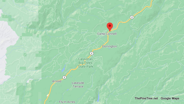 Traffic Update….Vehicle Off Roadway vs Tree Collision Near Hwy 4 & Forest Road 06N58