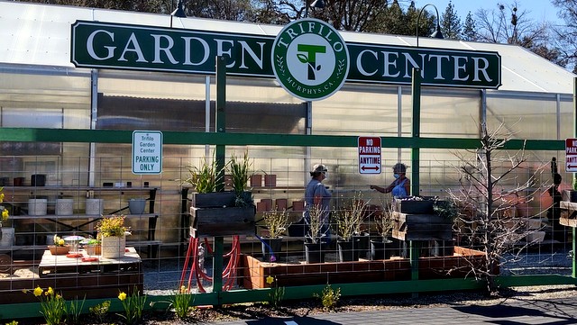 Trifilo Garden Center is Open & Ready for Spring! New Arrivals Weekly!