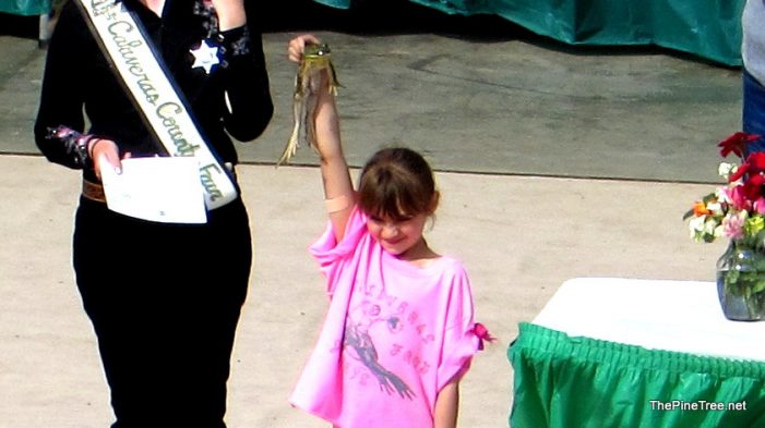 Seven-Year-Old Bria Heintz wins 2021 Jumping Frog Jubilee as Local Frog Jump Dynasty Scores Again